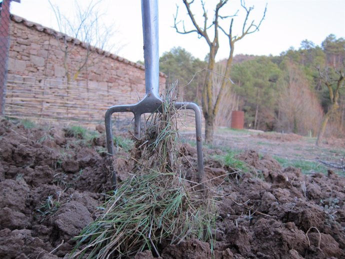 Agricultura, Agrícola, Agro, Campo, Agricultor, Siembra, Sembrar, Huerto, Horca.