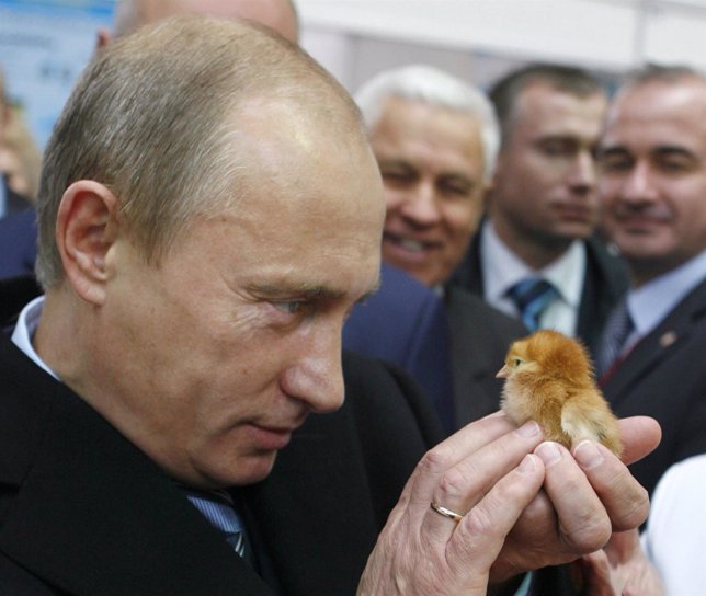Putin sosteniendo a un pollito en una feria agraria