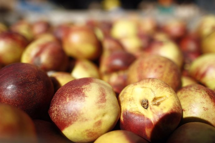 Los agricultores reparten 10.000 kilos de fruta en la plaza de Callao