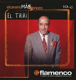 Flamenco bienal ciclo fin cierre diputación