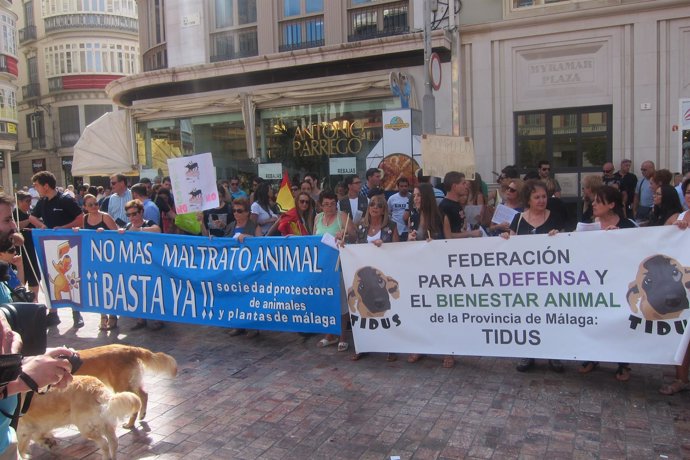 Animalistas concentración toro de tordesillas abolición plaza de la constitución