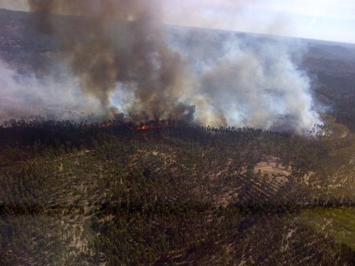 Incendio forestal en Zalamea la Real (Huelva)