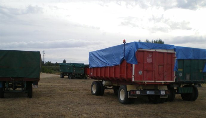 Remolques bloqueados con las cosechas.