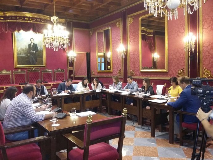 Comisión de Economía celebrada en el Ayuntamiento de Granada. 