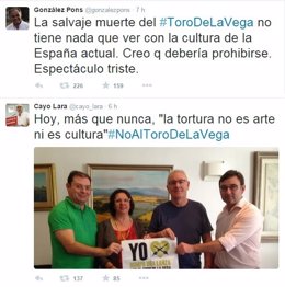 Tuits de González Pons y Cayo Lara contra el Toro de la Vega