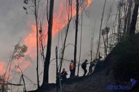 Ecuador pide ayuda internacional para sofocar los incendios forestales