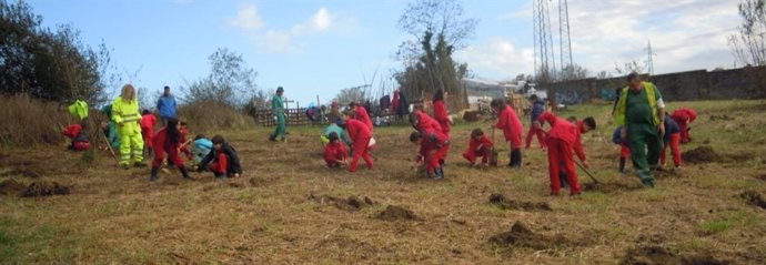 Programa ecoAstillero