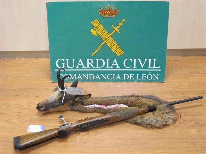 Imagen del rebeco abatido y del rifle del calibre 270.