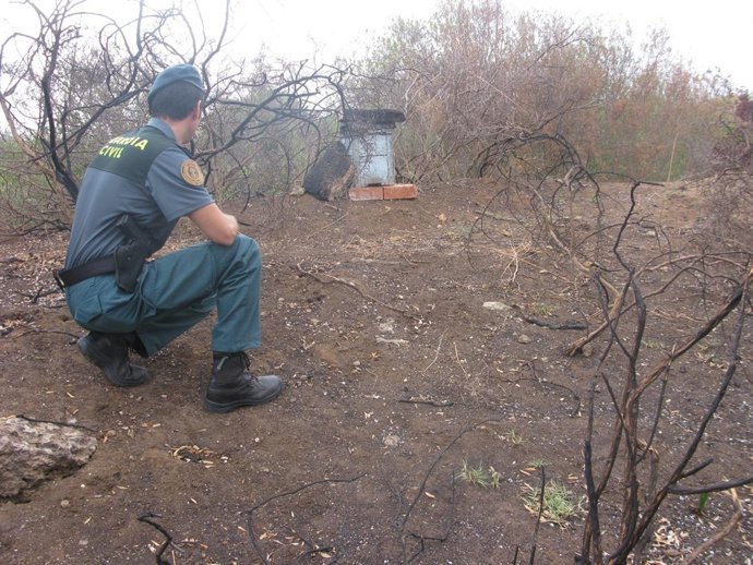 Imputado el presunto autor de un incendio forestal en San Roque