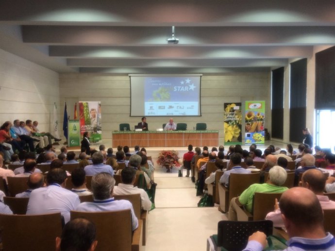 Jornada Plan Star Colza, organizada en Sevilla con la colaboración de Asaja