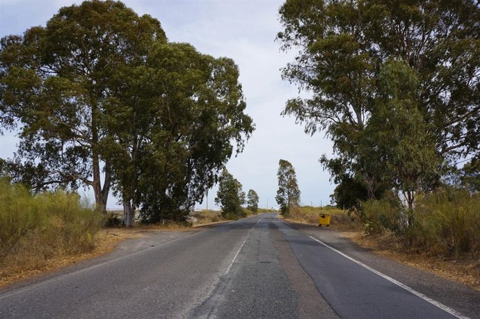 Carretera de Punta del Moral. 