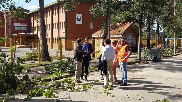 Árboles Caídos En Astillero