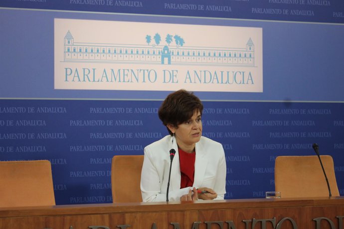 Coordinadora y portavoz adjunta de Podemos en el Parlamento, Esperanza Gómez