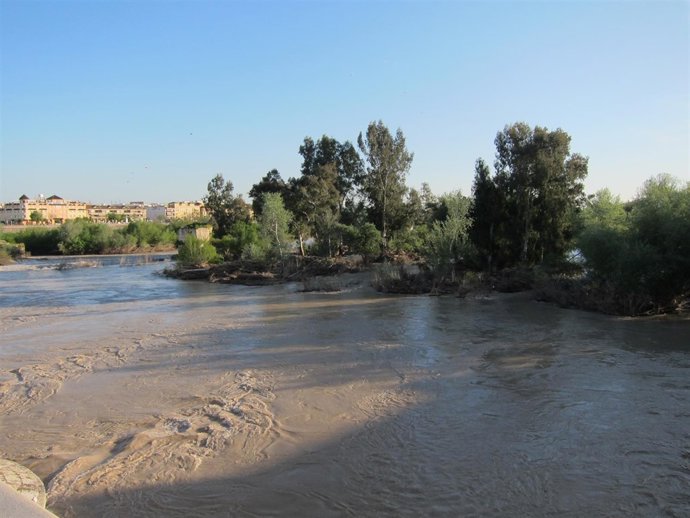 Los Sotos de la Albolafia