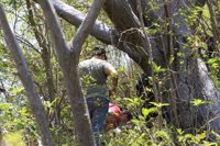 Hallan siete cuerpos en una fosa clandestina de la ciudad mexicana de Acapulco