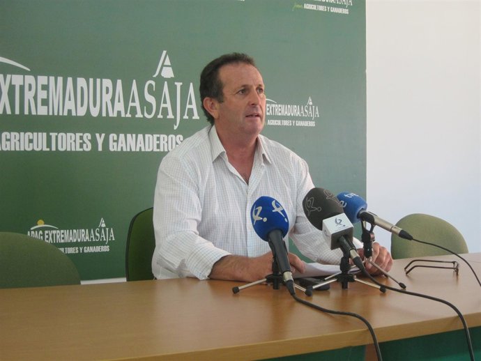 Rueda de prensa