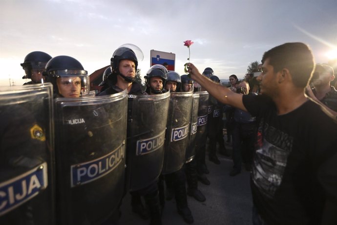 Refugiado sostiene una rosa ante la Policía eslovena, en la frontera con Croacia