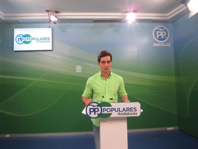 El presidente de NNGG de Andalucía, Luis Paniagua, en una rueda de prensa