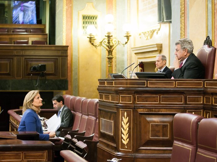 Fátima Báñez, en el Congreso