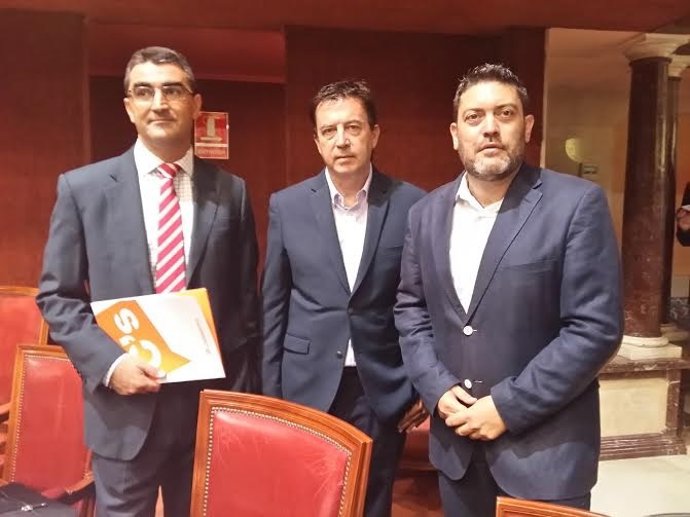 DIPUTADOS DE CIUDADANOS EN LA ASAMBLEA REGIONAL