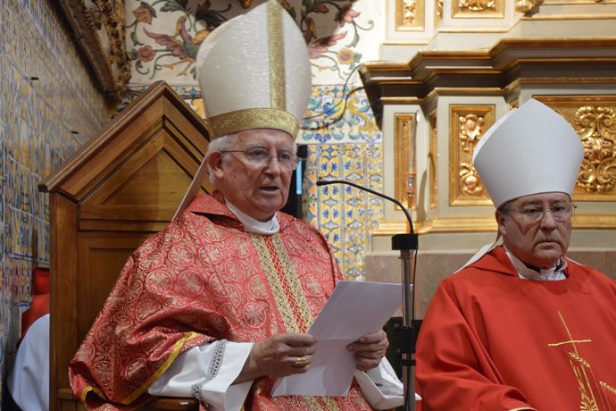 El Cardenal cañizares en una homilía