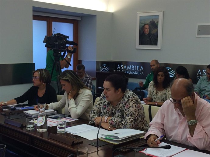 Comisión Medio Ambiente