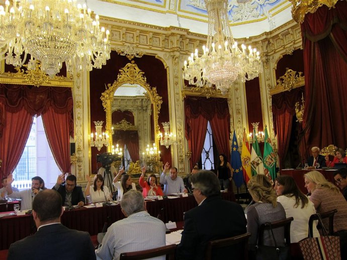 Grupos políticos en el Pleno de la Diputación de Cádiz