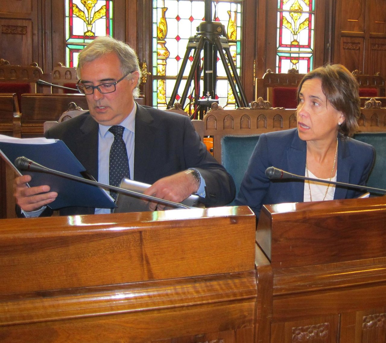 Dolores Carcedo, durante su comparecencia. 