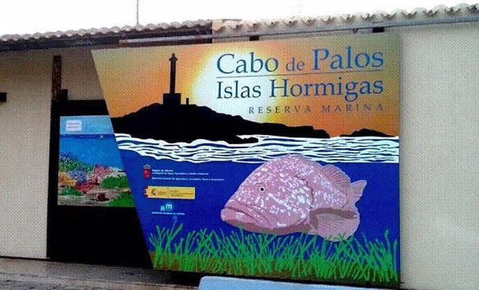 Reserva Marina de Cabo de Palos-Islas Hormiga