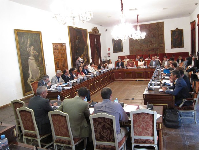 El Pleno de la Diputación