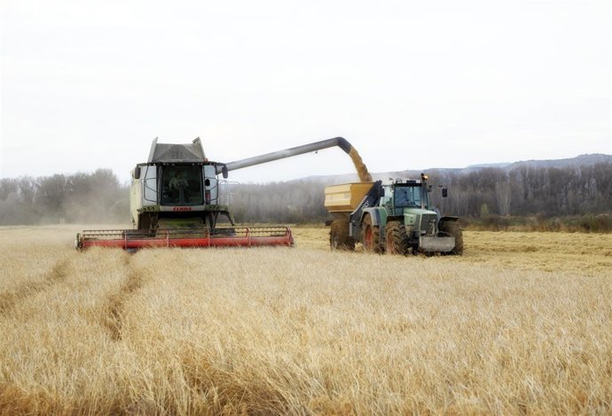 La arrocera apuesta por los monovarietales