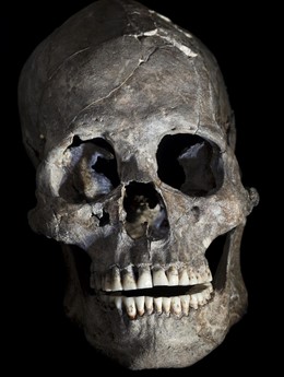 Fotografía de cabeza cortada del Enterramiento 26 