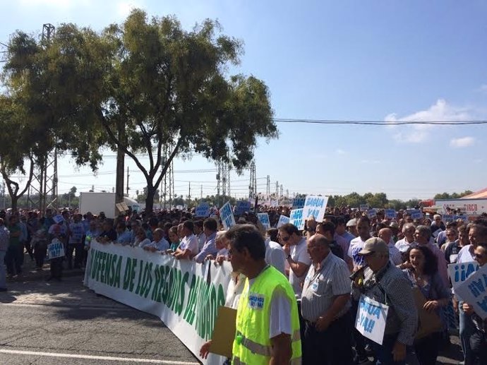 Manifestación de regantes del Condado en Sevilla.