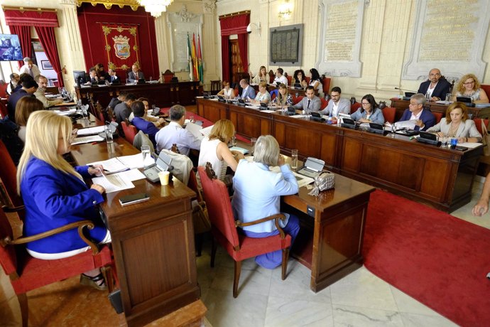 Pleno del Ayuntamiento de Málaga de septiembre 2015