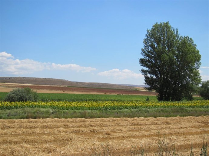 Campos De Cultivo, Turismo Rural