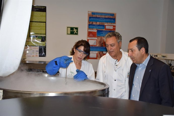 Médula ósea donación ruiz espejo muestras centro de transfusión 