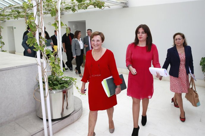 La consejera de Sanidad, María Luisa Real,  comparece en el Parlamento