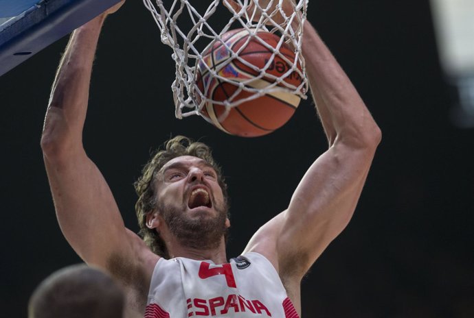 Pau Gasol, Final Eurobasket 2015