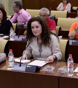 Inmaculada Nieto, parlamentaria andaluza de IULV-CA por Cádiz