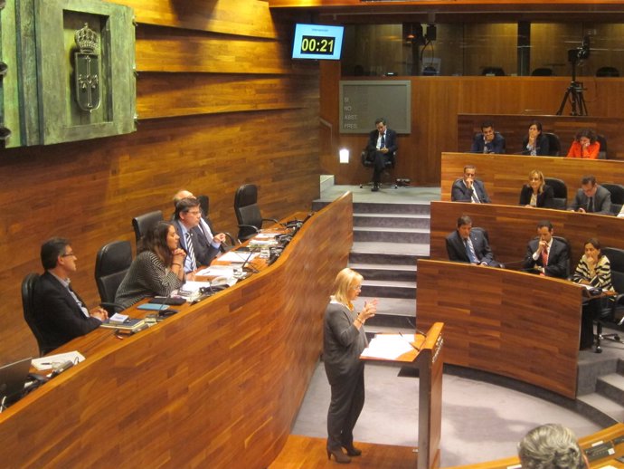Pleno de la jnta General de Asturias