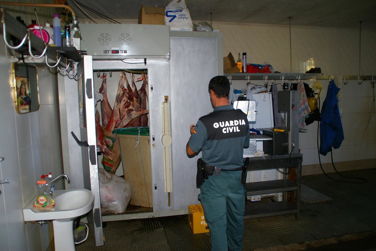 Matadero ilegal localizado en Balsoma