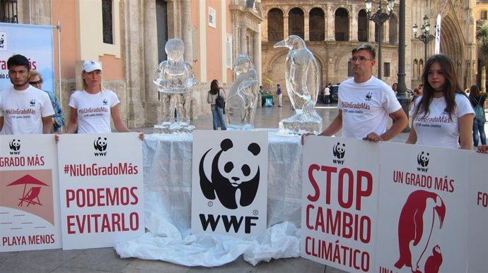 Esculturas de hielo se derriten en la Plaza de la Virgen en la campaña de WWF 
