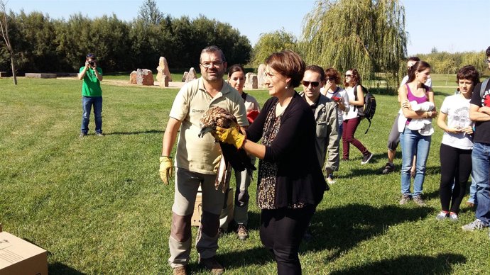 Sandra Ortega ha liberado un milano en La Alfranca
