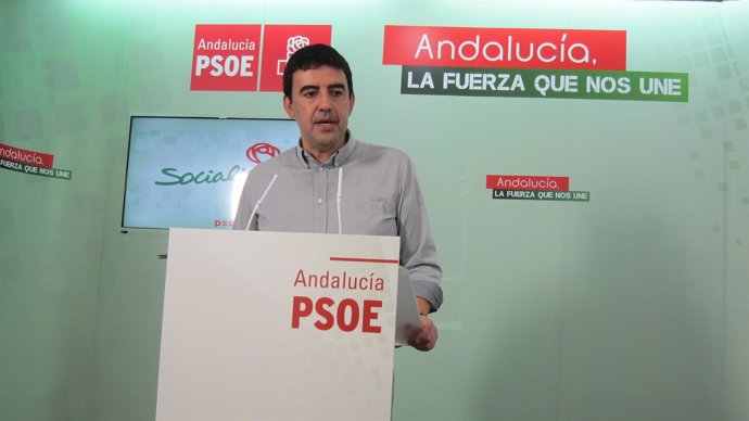 El portavoz del grupo parlamentario socialista, Mario Jiménez.