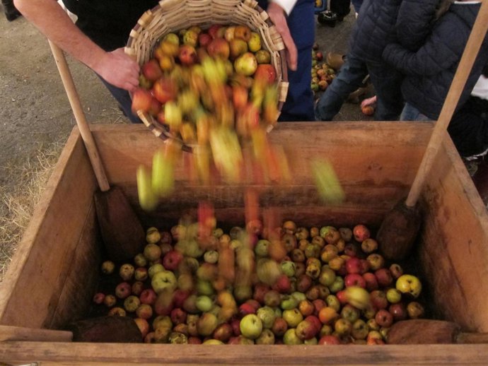 Manzana para hacer sidra.