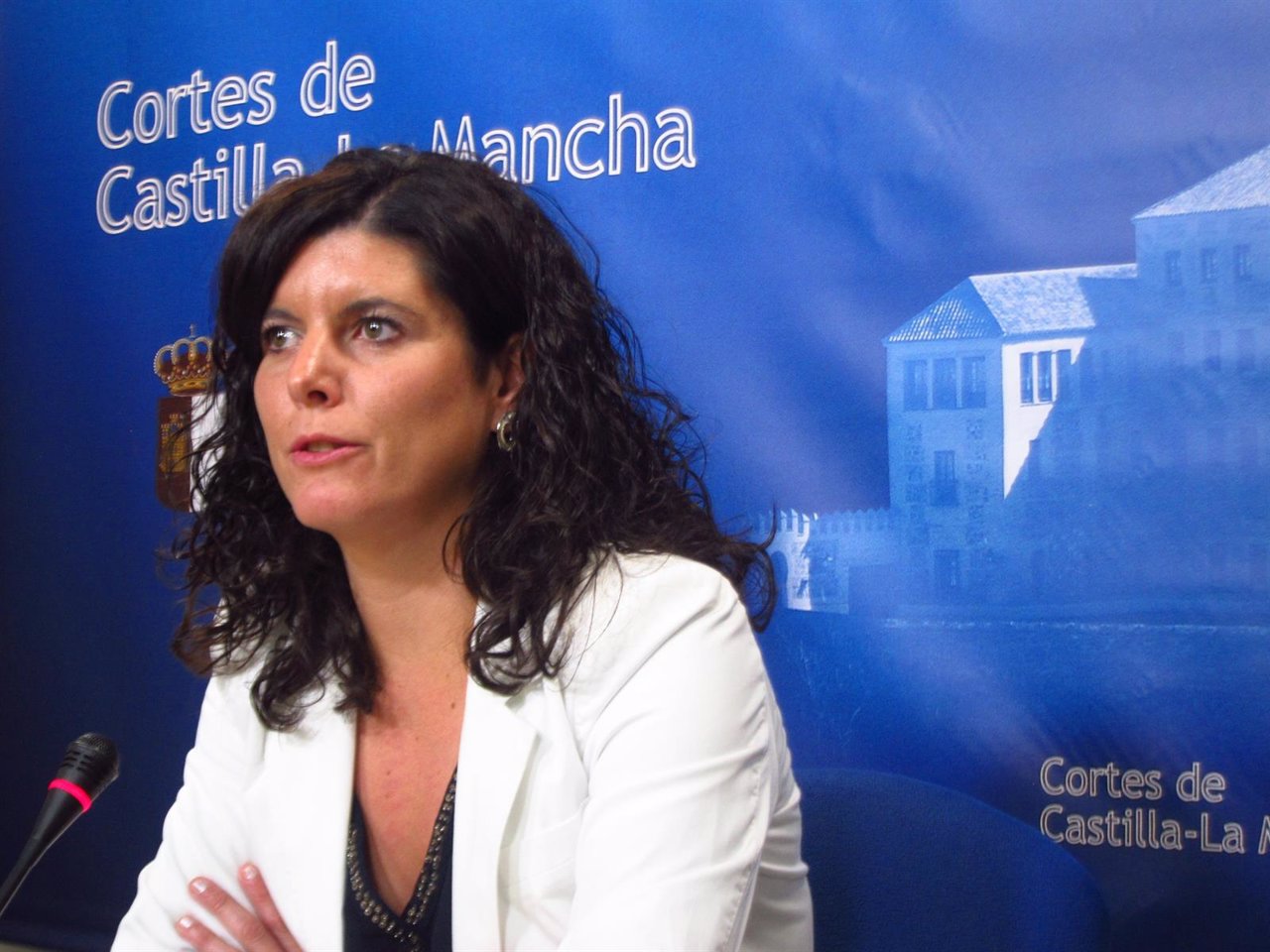 Josefina Navarrete, PSOE