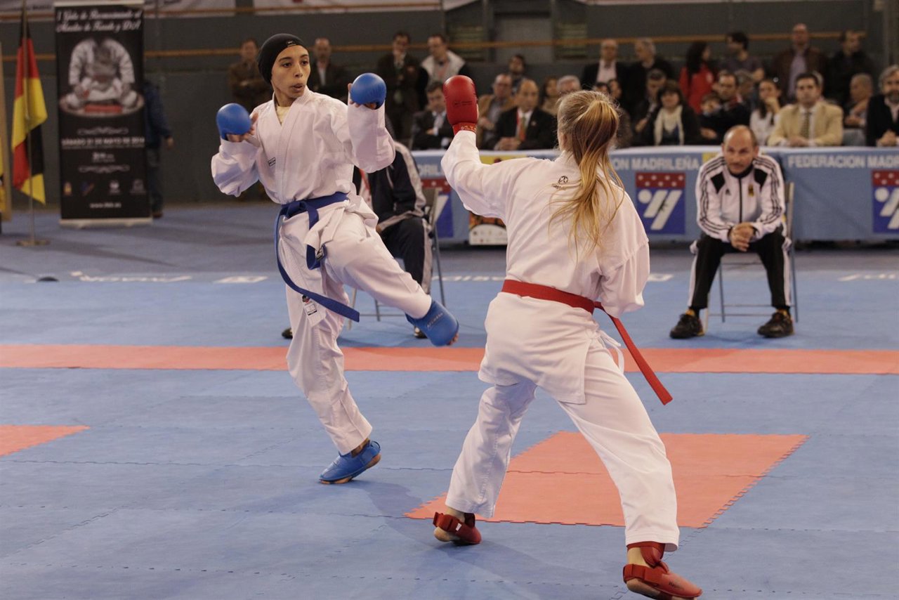 Kárate VILLA DE MADRID DE KARATE 2014 