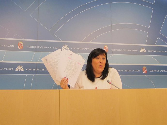 Ana Sánchez en rueda de prensa en las Cortes