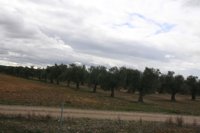 El Gobierno acuerda el reparto de 119,7 millones entre para programas de desarrollo rural, casi 16 de ellos para C-LM