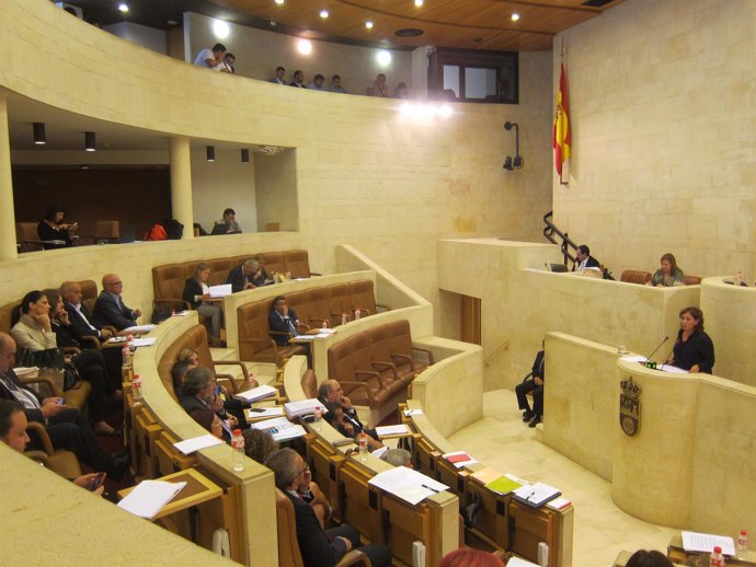 Pleno del Parlamento de Cantabria. Legislatura (2015-2019)
